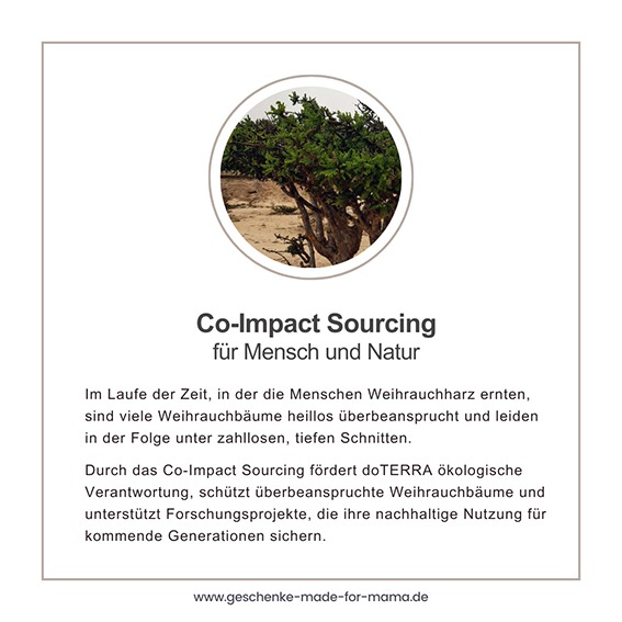 Grafik über doTERRA Co-Impact Sourcing für Weihrauch: Schutz überbeanspruchter Boswellia-Bäume, nachhaltige Harzernte und ökologische Verantwortung für Mensch und Natur.