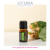 doTERRA Forgive Erneuernde Mischung kaufen
