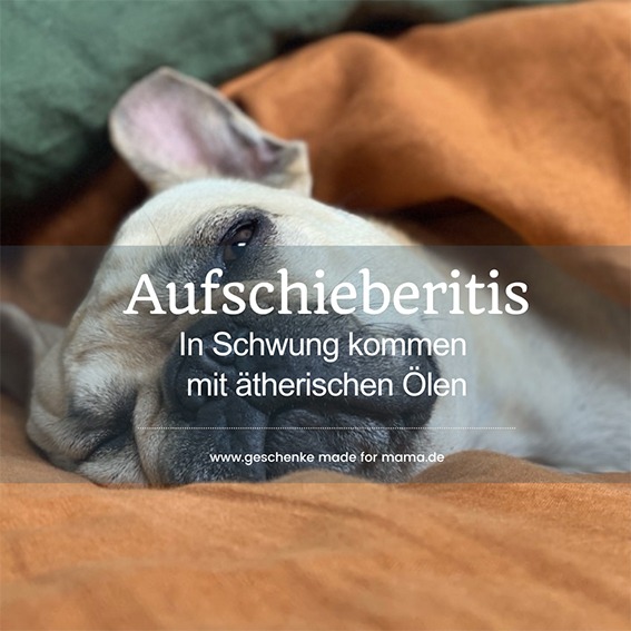 Blog Geschenke made for Mama Aufschieberitis in Schwung kommen mit ätherischen Ölen